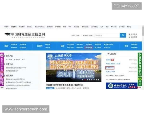 亚星入口登录流程中的注意事项及操作细节详解